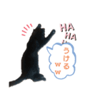 動物だらけ（個別スタンプ：11）