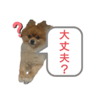 動物だらけ（個別スタンプ：16）