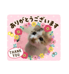 みぃちゃん12210301（個別スタンプ：5）