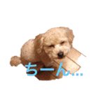 福助豆助スタンプ（個別スタンプ：2）