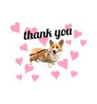 ❤︎sora君の1日❤︎（個別スタンプ：2）