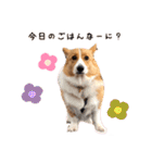 ❤︎sora君の1日❤︎（個別スタンプ：10）