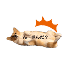 ❤︎sora君の1日❤︎（個別スタンプ：18）