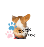 ❤︎sora君の1日❤︎（個別スタンプ：20）