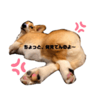 ❤︎sora君の1日❤︎（個別スタンプ：21）