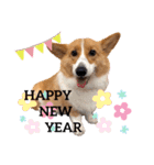 ❤︎sora君の1日❤︎（個別スタンプ：24）