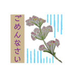 可愛い絵ハガキスタンプ❤️夏用（個別スタンプ：13）