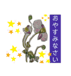 可愛い絵ハガキスタンプ❤️夏用（個別スタンプ：16）