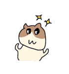 ねこじかん（個別スタンプ：29）
