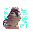 kichi to pi（個別スタンプ：2）