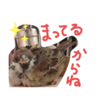 kichi to pi（個別スタンプ：5）