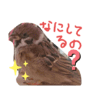 kichi to pi（個別スタンプ：6）