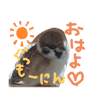 kichi to pi（個別スタンプ：7）