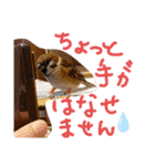 kichi to pi（個別スタンプ：10）