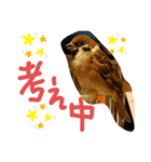 kichi to pi（個別スタンプ：11）