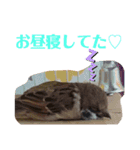 kichi to pi（個別スタンプ：16）