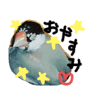 kichi to pi（個別スタンプ：17）