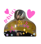 kichi to pi（個別スタンプ：18）
