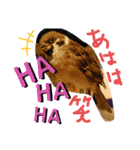 kichi to pi（個別スタンプ：19）