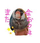 kichi to pi（個別スタンプ：20）