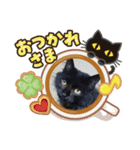 にゃーた参（個別スタンプ：3）