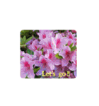 花花メッセージ（個別スタンプ：3）