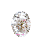 花花メッセージ（個別スタンプ：6）
