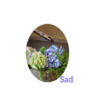 花花メッセージ（個別スタンプ：19）