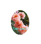 花花メッセージ（個別スタンプ：40）