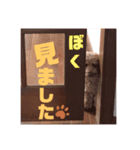 砂川家のりょうまくん（個別スタンプ：6）