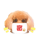 砂川家のりょうまくん（個別スタンプ：7）
