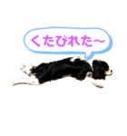 マリィの日常（個別スタンプ：1）