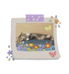 かわいい  癒し猫（個別スタンプ：7）