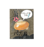 面白く、日常生活でも使えるスタンプ（個別スタンプ：9）