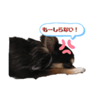 かわいいほんわかわんちゃんスタンプ（個別スタンプ：6）