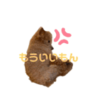 トイプードルのももち（個別スタンプ：25）