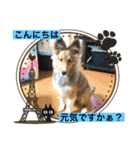 シェリぽんと愉快な仲間たち（個別スタンプ：2）