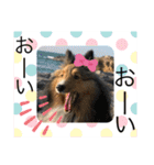 シェリぽんと愉快な仲間たち（個別スタンプ：4）