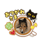 シェリぽんと愉快な仲間たち（個別スタンプ：9）
