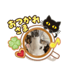 シェリぽんと愉快な仲間たち（個別スタンプ：10）