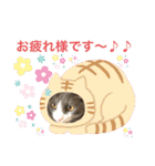 シェリぽんと愉快な仲間たち（個別スタンプ：11）