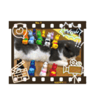 シェリぽんと愉快な仲間たち（個別スタンプ：18）