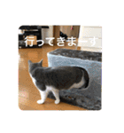 シェリぽんと愉快な仲間たち（個別スタンプ：36）