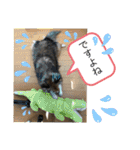 シェリぽんと愉快な仲間たち（個別スタンプ：40）