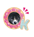 虎毛 秋田犬 華凛ちゃん♪2（個別スタンプ：13）