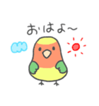 かわいいインコのスタンプです。（個別スタンプ：1）