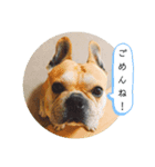 ★フレブルkokoro②★（個別スタンプ：1）