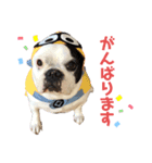 ハルちゃんスタンプ集 敬語ver（個別スタンプ：6）