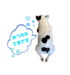 ハルちゃんスタンプ集 敬語ver（個別スタンプ：7）