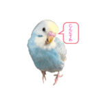 めいandキキ（個別スタンプ：1）